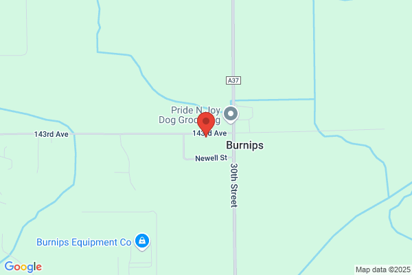Burnip's Shell Service