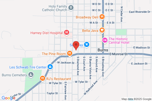 NAPA Auto Parts - Burns Auto Parts