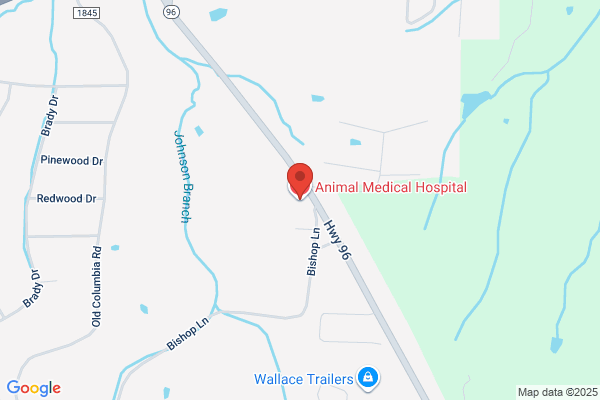 Animal Medical Hospital