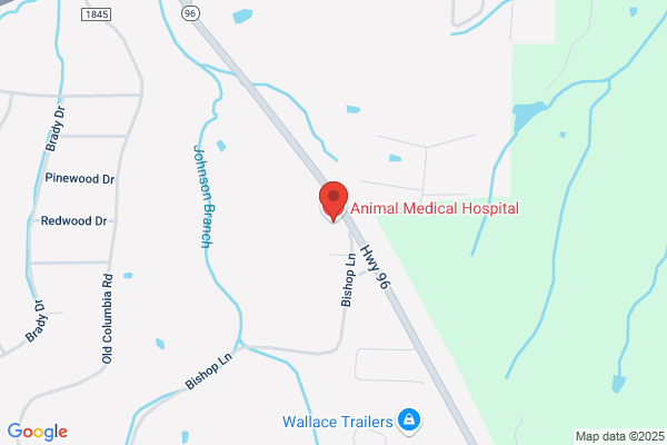 Animal Medical Hospital