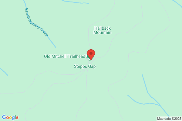 Mount Mitchell Cafe and Eatery