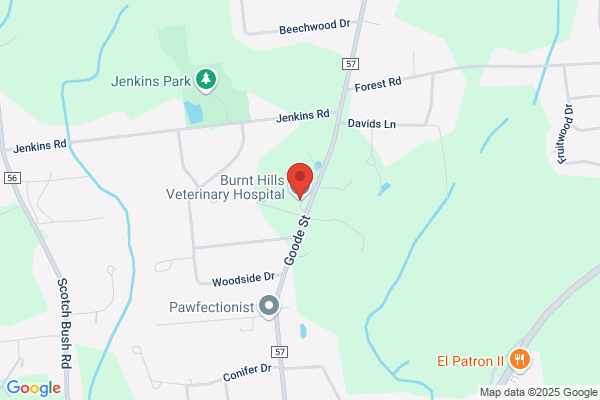 Burnt Hills Veterinary Hospital