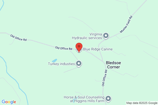Blue Ridge Canine