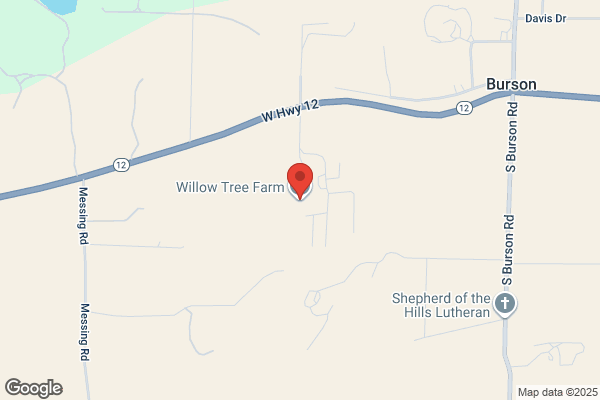Willow Tree Farm