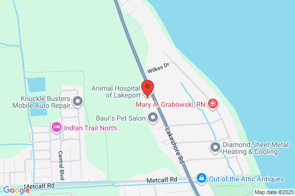 Animal Hospital of Lakeport
