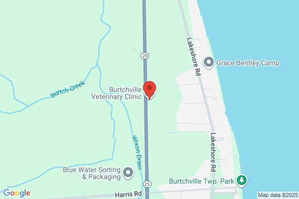 Burtchville Veterinary
