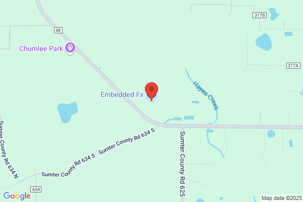 Embedded Fx Inc