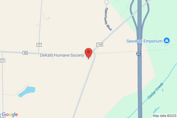 Dekalb Animal Shelter