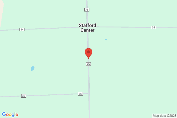 International English Shepherd Registry Inc