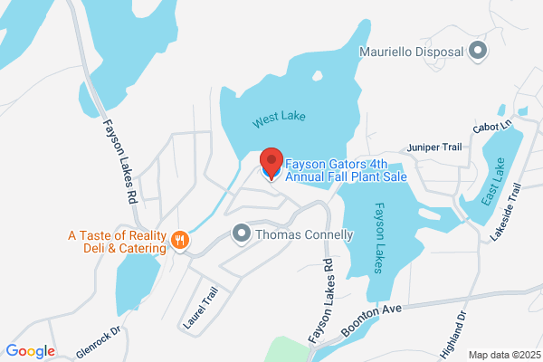 Fayson Lakes Association Inc