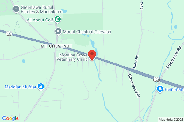 Moraine Grove Veterinary Clinic