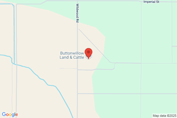 Buttonwillow Land & Cattle Co