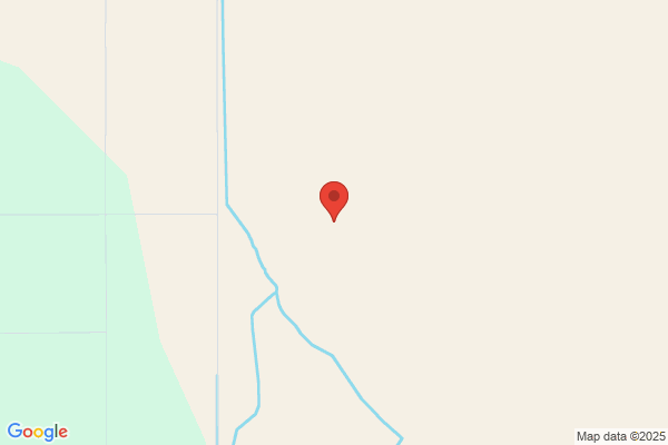 Mills Shooting Preserve