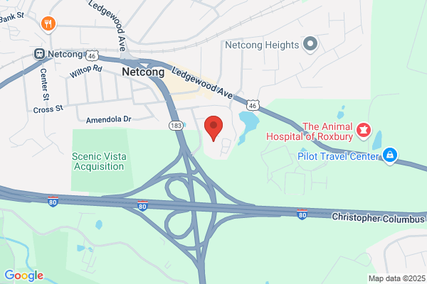 Netcong Services