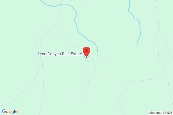 Gonyea Lynn M Real Estate