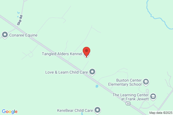 Maranatha Labradors & Grooming Kennels