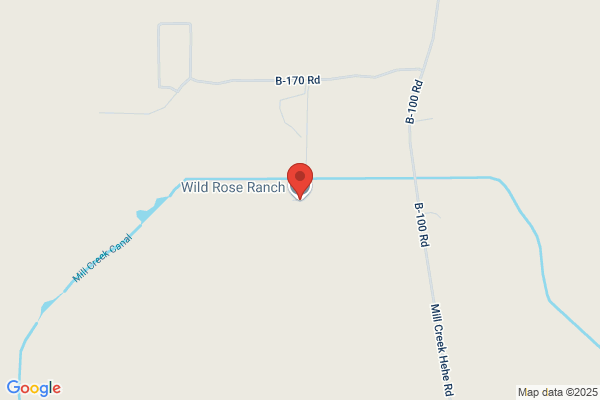 Wild Rose Ranch