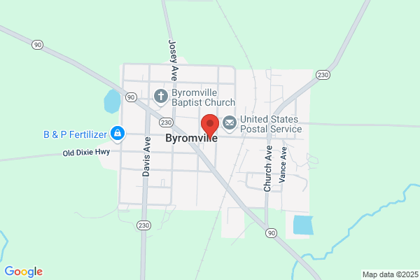 Byromville Town Library