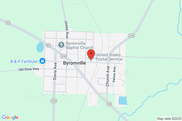 U S Government, US Postal Service, Byromville