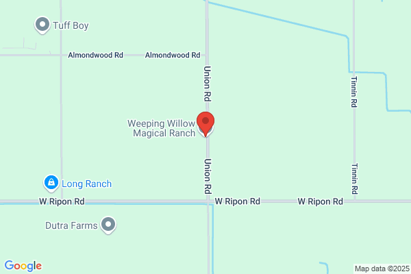 Weeping Willow Ranch
