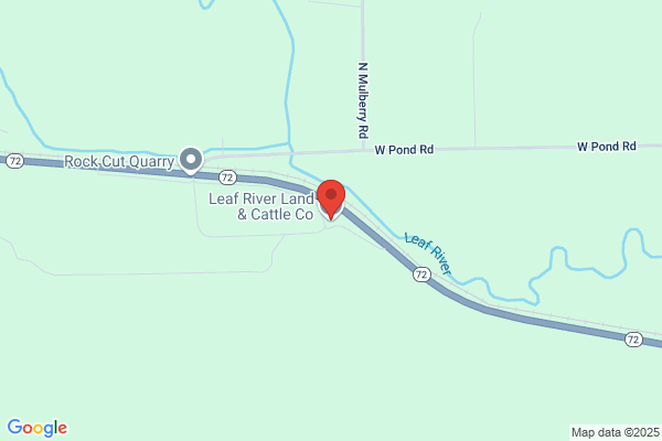 Leaf River Land & Cattle Co