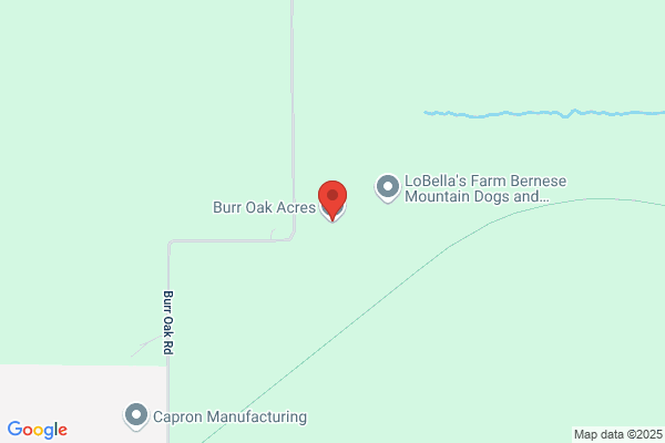 Burr Oak Angus Ranch