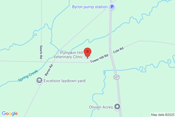 Pumpkin Hill Veterinary