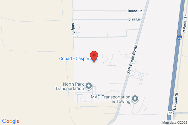 Manheim Casper
