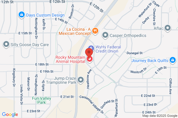 Wind City Physical Therapy