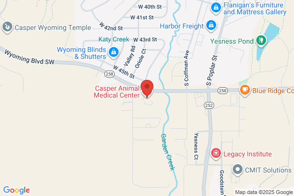 Casper Animal Medical Center