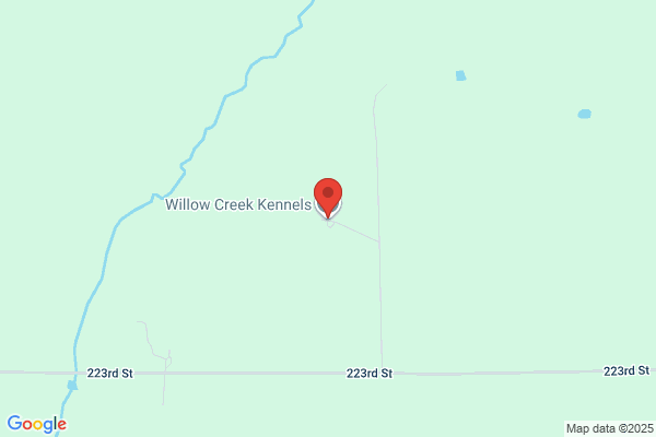 Willow Creek Kennel Inc