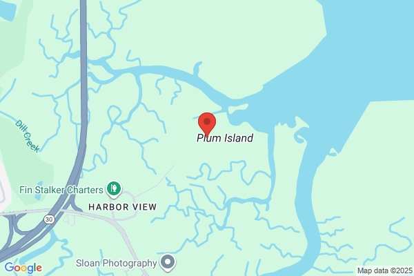 Charleston Industrial Water Treatment