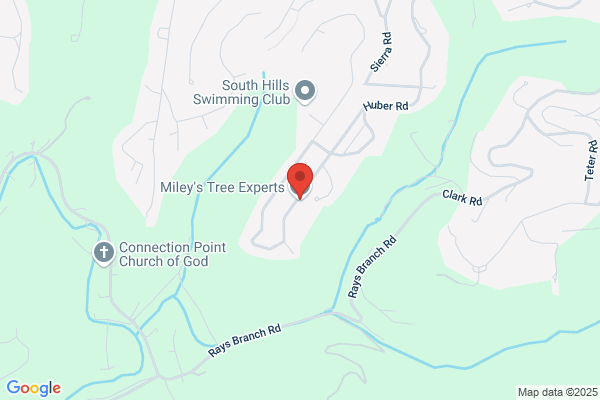 Miley's Tree Experts LLC