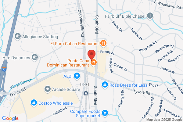 Advance Auto Parts