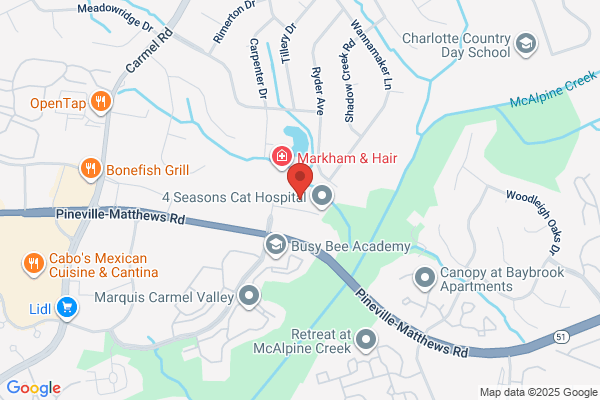 Carolina Physical Medicine