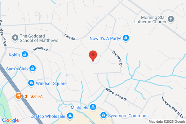 Deep Forest Systems Inc