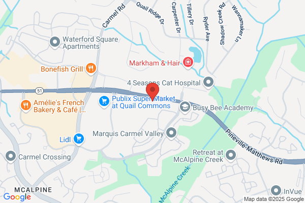 Pelican Professional Partners