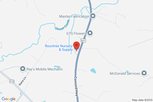 Southern Tree Farm the