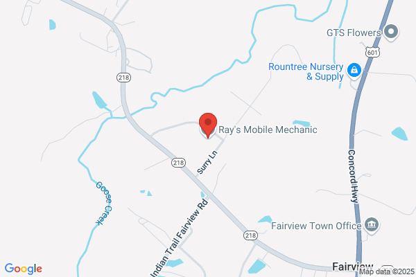 Ray's Amoco Service