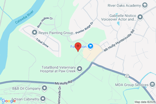 True Homes The Landings at Catawba River