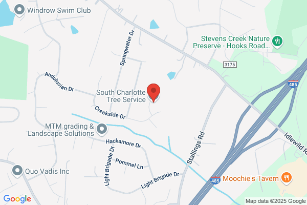 Charlotte Tree Service