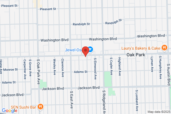 Jamine Blesoff Naturopathic Doctor Chicago