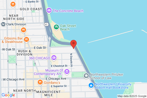1110 N Lake Shore Dr Building