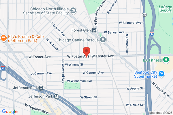 Csf Security Systems