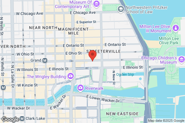 NerdsToGo - Chicago Downtown - Magnificent Mile
