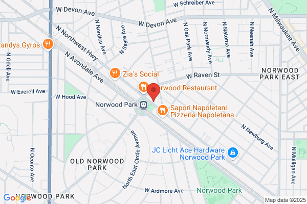 Chicago City of, Chicago Public Library, Neighborhood Libraries, Roden