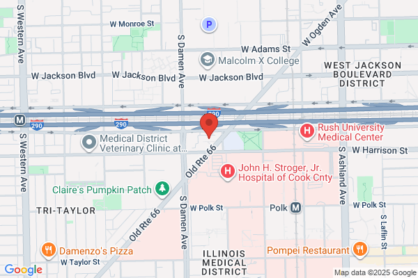 Pest Control Chicago