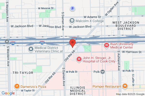 Pest Control Chicago