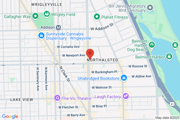The Chicago Diner, Lakeview