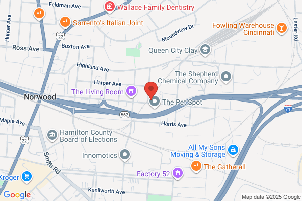 Kleiman Auto Body